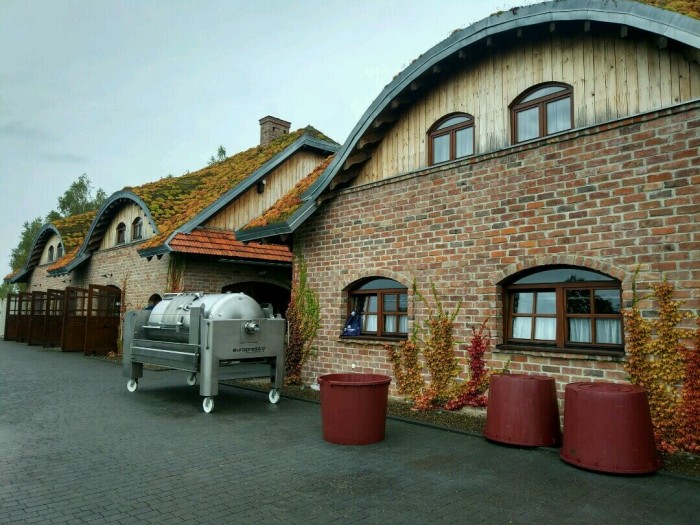 Winnica Pańska Góra