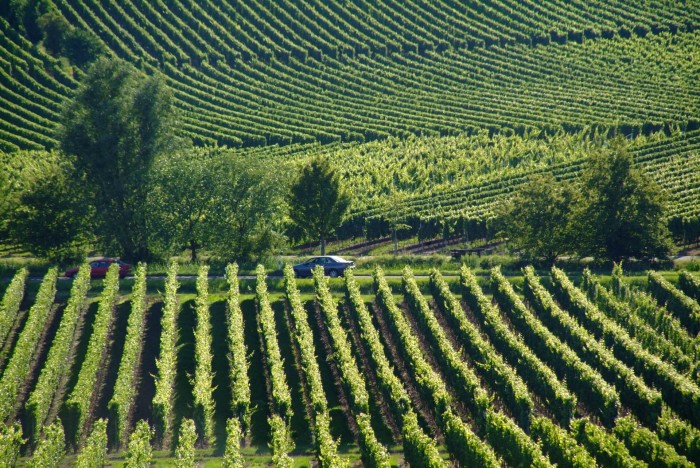 Winiarnie z naszym sprzętem