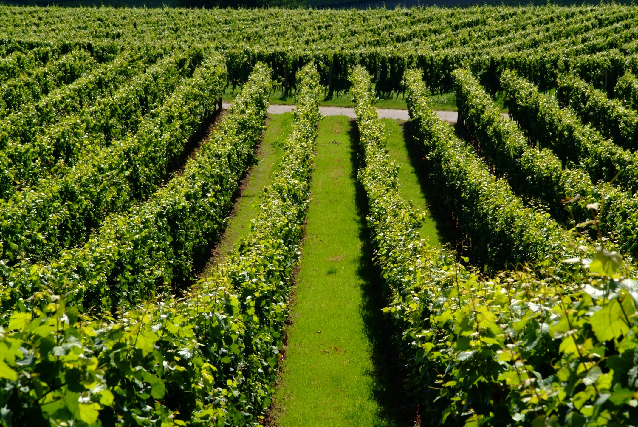 Urządzenia sortujące