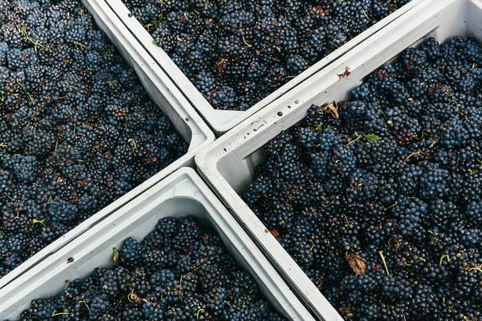 Winiarnie z naszym sprzętem