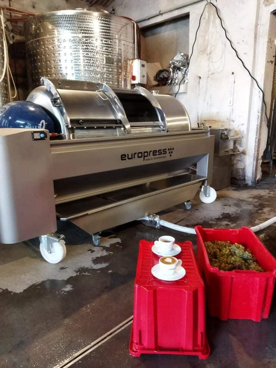 Szkolenie i pierwsze tłoczenie na winnicy Reserva