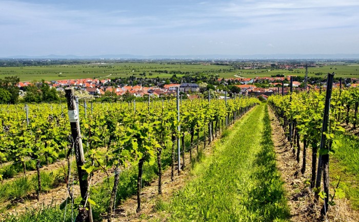 Winiarnie z naszym sprzętem