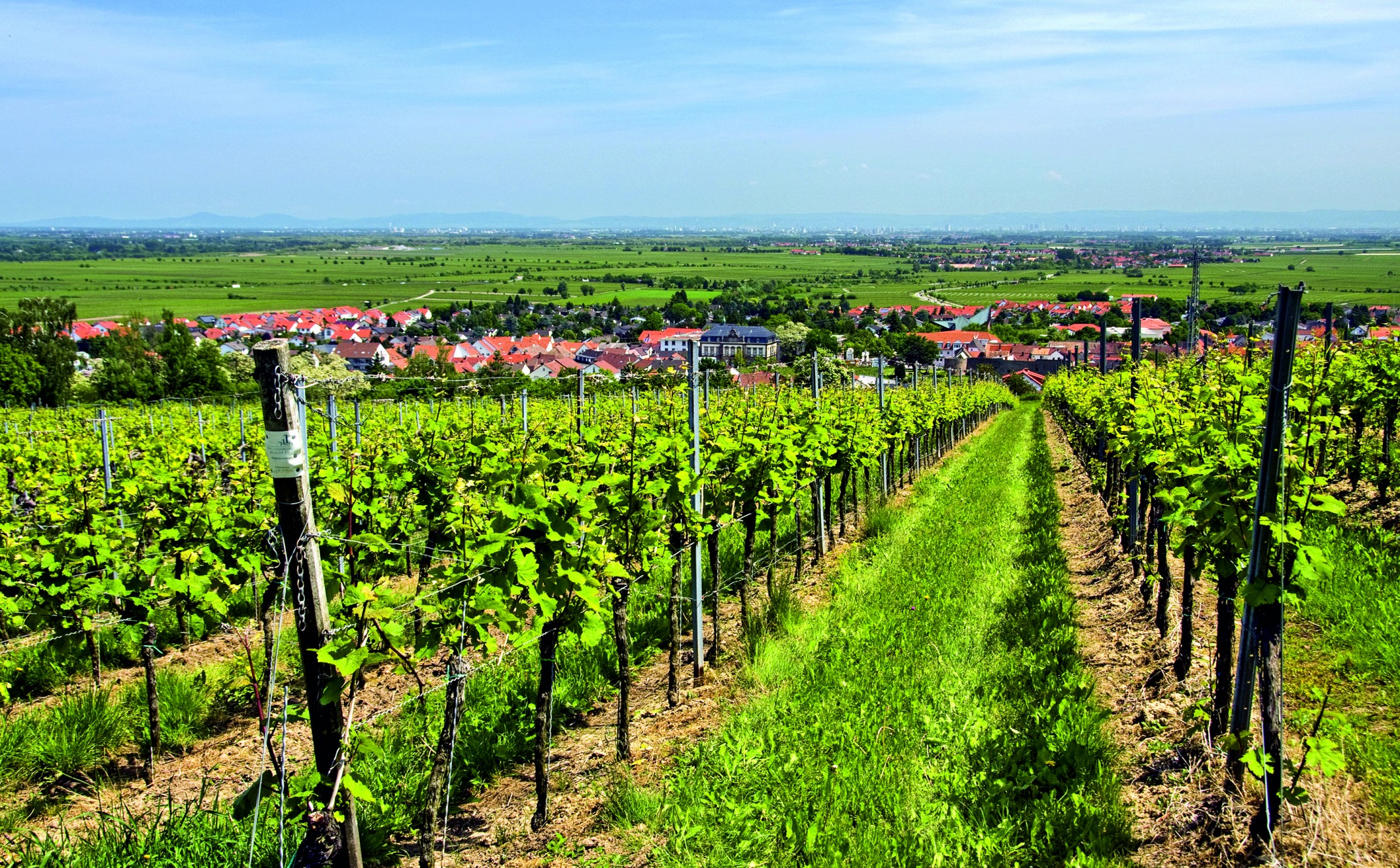 Urządzenia transportujące Urządzenia transportujące