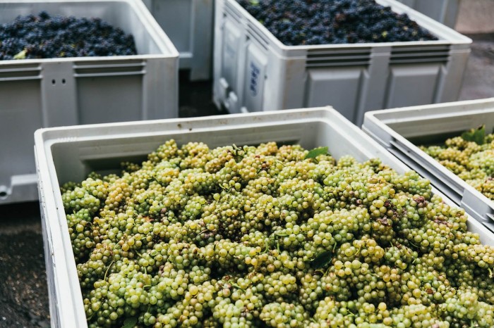 Winiarnie z naszym sprzętem